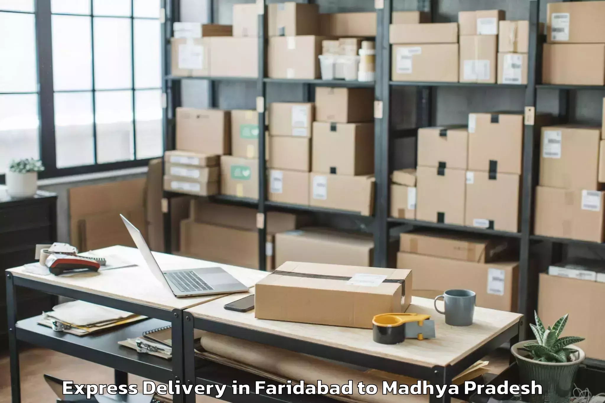 Top Faridabad to Mhow Express Delivery Available